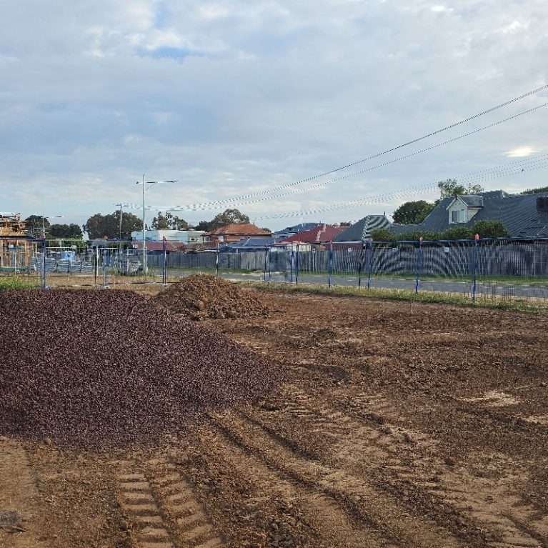 attachment-1731356126723